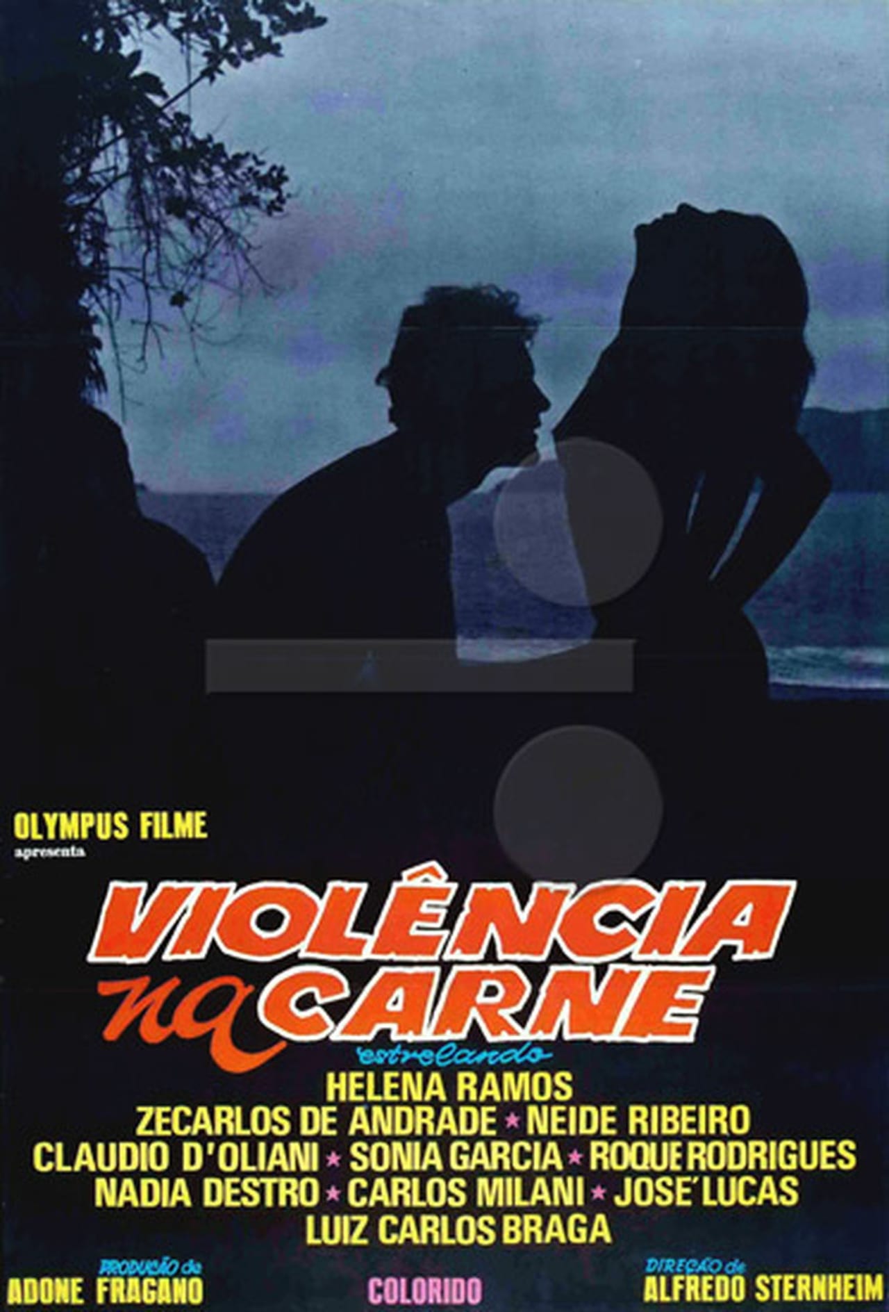 Lee más sobre el artículo Violência na Carne (1981)