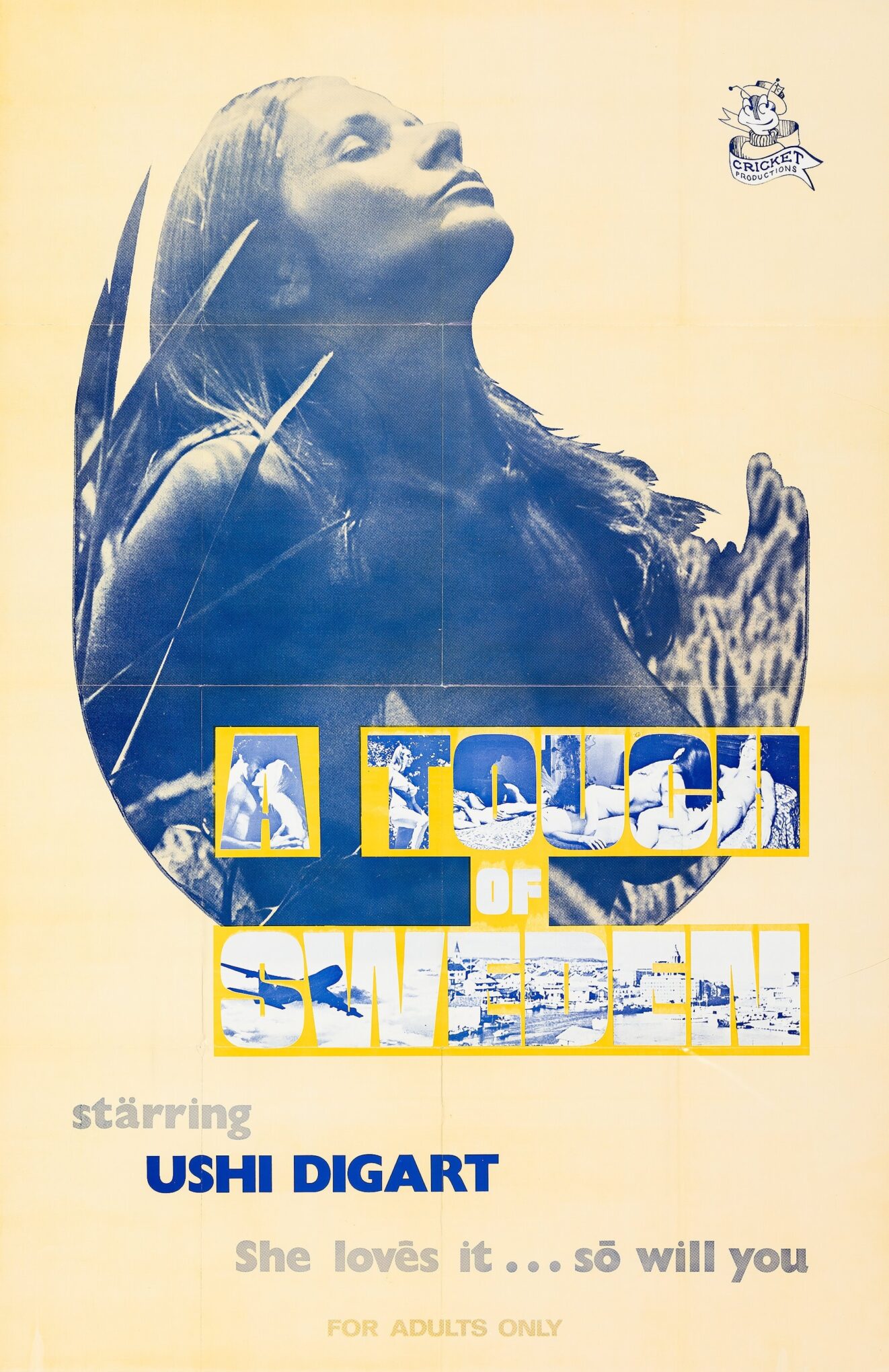 Lee más sobre el artículo A Touch of Sweden (1971)